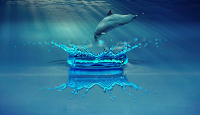 Whimsical Waters
