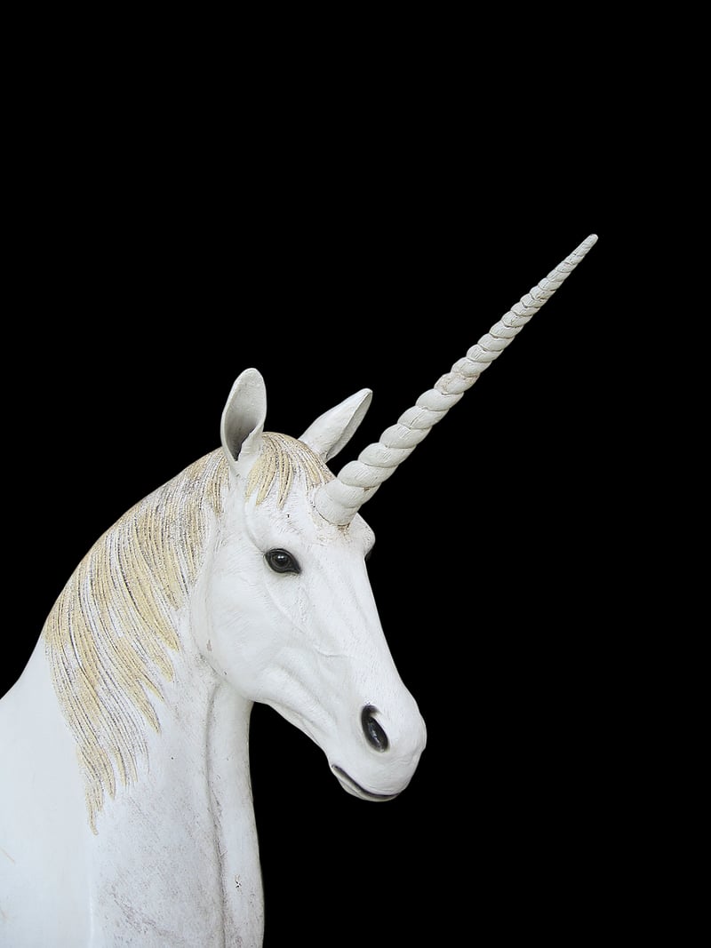 Unicorn Kingdom